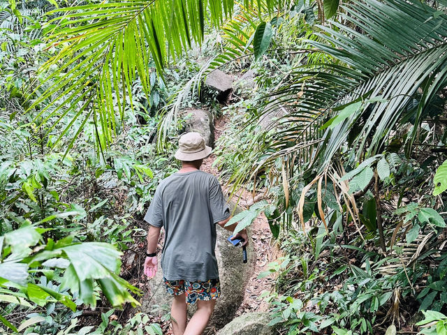山林的呼吸,是旅行最溫柔的節奏。 山林的呼吸,是旅行最溫柔的節奏。