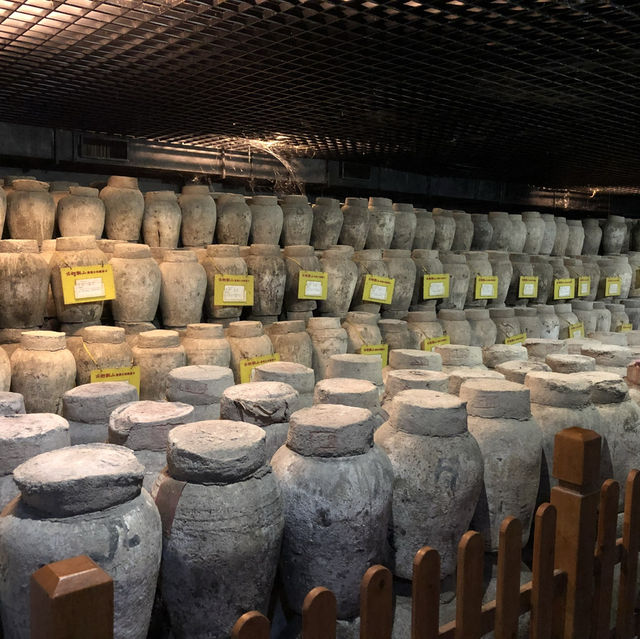 【中国 浙江省】紹興酒博物館で中国の酒文化を深堀り⚱️