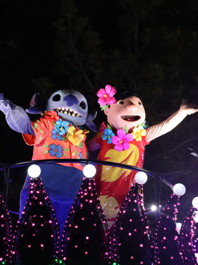 ディズニーランドで見れる夜の光のパレード！