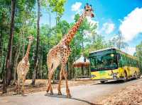 Lịch trình tham quan Safari Phú Quốc