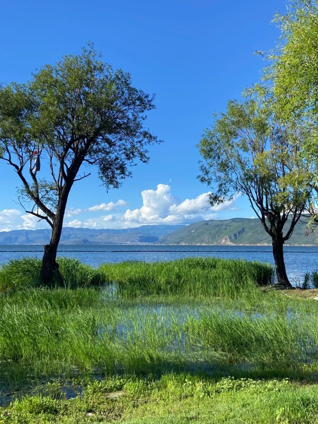 Erhai Dreams: A Mirror of Heaven in Yunnan