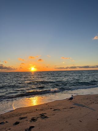 Miami🇺🇸 Beachside sunrise☀️The best way to spend a morning🥐