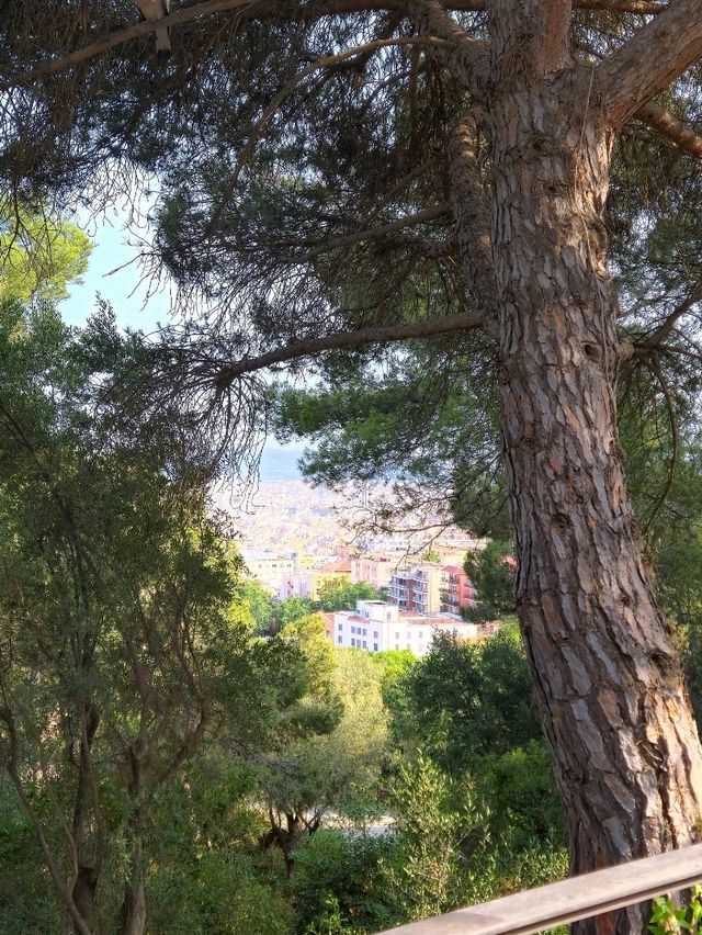 바르셀로나 시내를 구경할 수 있는 곳 : Casa Trias🇪🇸