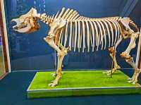 Sabah State Museum – A Journey Through Sabah’s Heritage