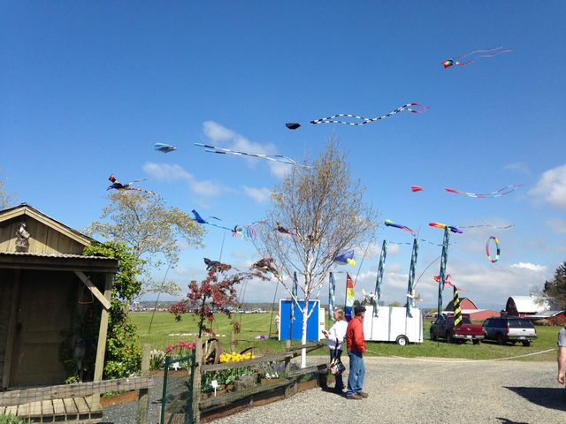 Skagit Valley Tulip Farm