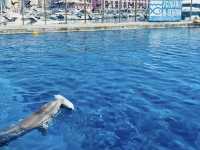 Acquario di Genova (Genoa)