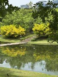曼谷小眾寶藏公園｜詩麗吉公園散步好去處✨