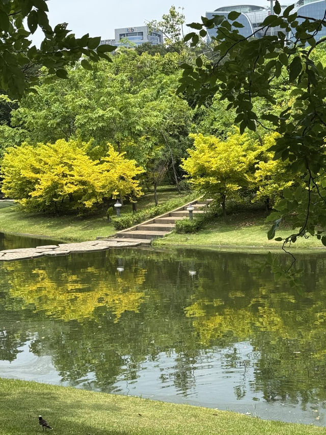 曼谷小眾寶藏公園｜詩麗吉公園散步好去處✨