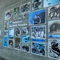 長岡花火の翌日に寄り道！癒しのうみがたり水族館❤️