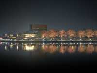 富岩運河環水公園：夜幕下的絕美畫卷
