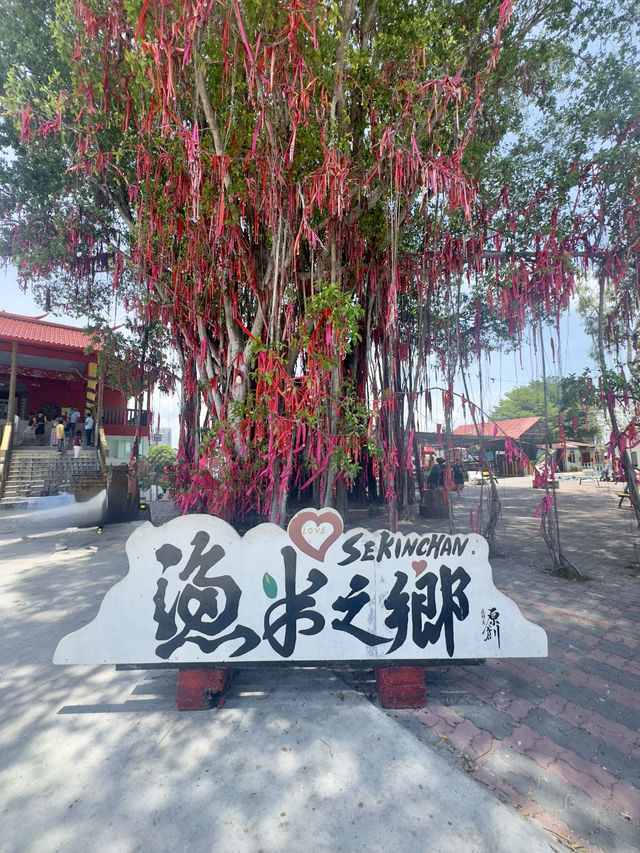 🌾 Sekinchan Day Trip – Chill & Recharge Escape 🌊 🌾 Sekinchan Day Trip – Chill & Recharge Escape 🌊