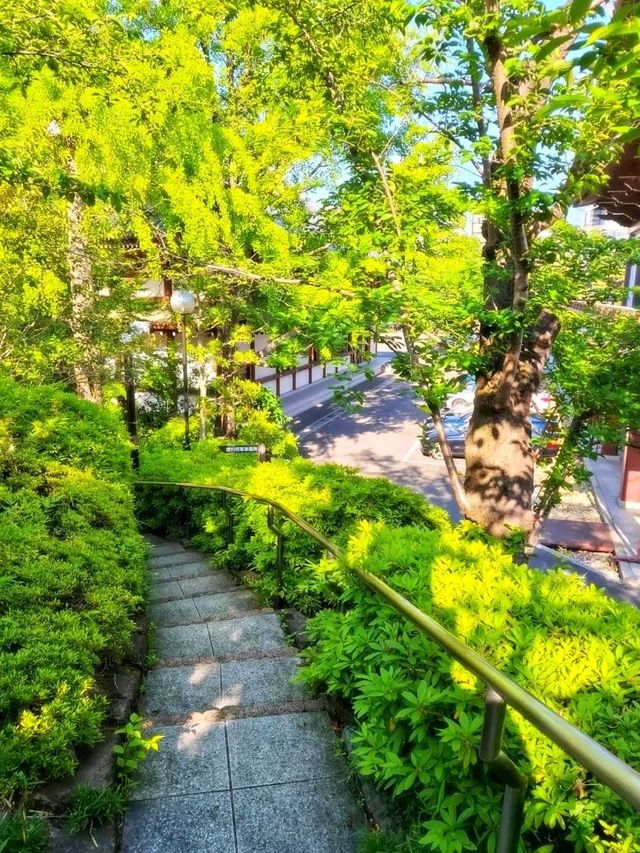 Zojo-ji Temple – Tradition Beneath Tokyo Tower 🛕