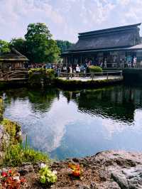 Summer at Tokyo