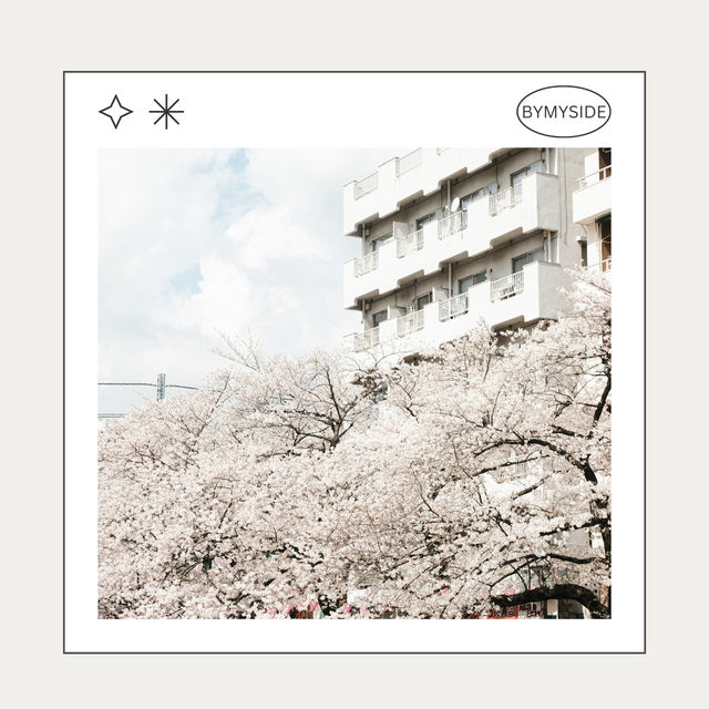 🌸 Nakameguro – ถนนริมคลองกับซากุระบานสะพรั่ง