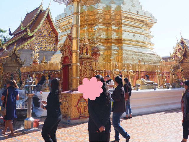 วัดพระธาตุดอยสุเทพ สายบุญอิ่มใจ สายเที่ยวได้ชมวิว วัดพระธาตุดอยสุเทพ สายบุญอิ่มใจ สายเที่ยวได้ชมวิว
