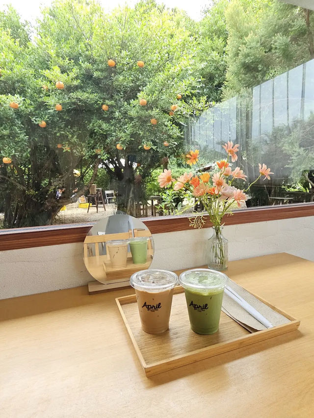 ☕🌸 จิบกาแฟ เค้กสวย มุมถ่ายรูปเพียบ ฟีลดีเกิน