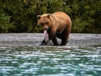 🌲 Lake Clark National Park – Wilderness, Wildlife & Scenic Beauty