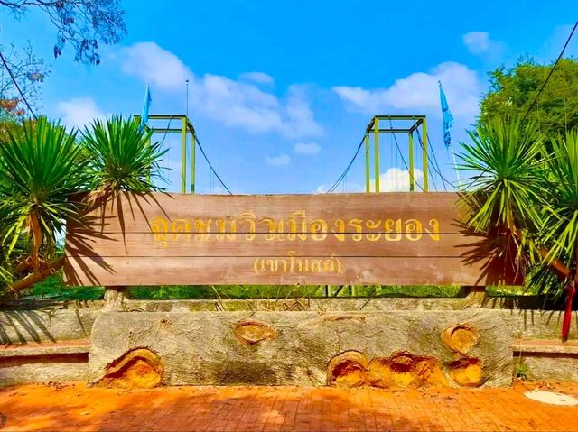 Khao Bot View Point：俯瞰山海交界的景致
