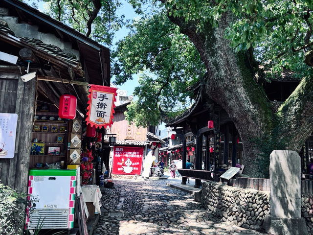 雙重體驗．商圈熱鬧與古橋靜謐  