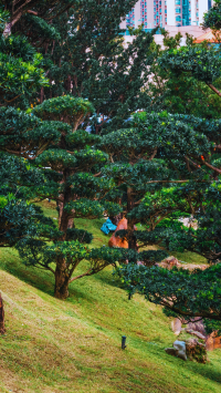 สวนหนานเหลียน ความสงบกลางมหานครฮ่องกง
