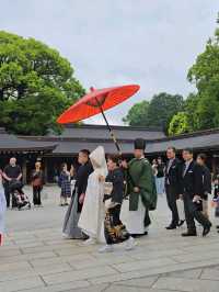 東京明治神宮🎏闖入鬧市中的靜謐，偶遇一場日式浪漫🎎