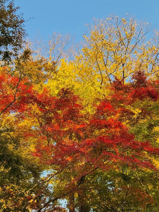 Tiger Hill (Huqiu Shan), Suzhou in Autumn