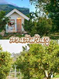 🏡บ้านเล็ก ๆ กลางสวนส้ม ความสุขก็ใหญ่พอแล้ว💛