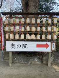 DAZAIFU- FUK