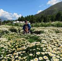親子遊好去處！靚爆花海🌻聽花谷-麗江百花園