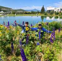 親子遊好去處！靚爆花海🌻聽花谷-麗江百花園