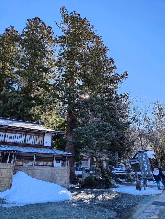 名古屋 l 雪景中的童話村落──白川鄉合掌村遊記