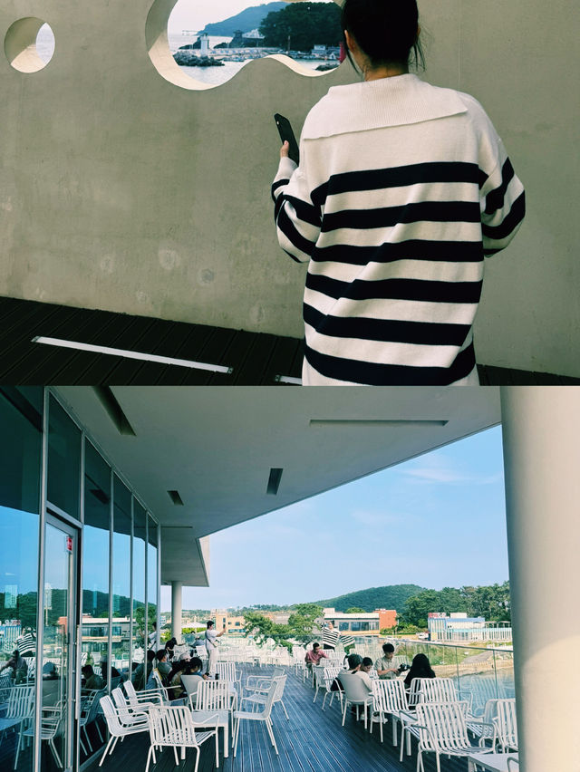 부산 바다를 품은 코랄라니 카페, 파도와 함께한 감성 휴식