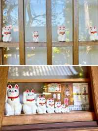 【世田谷】🐈幸運の招き猫だらけ✨