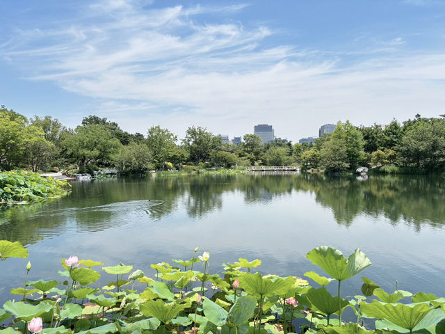  上海世博文化公園「申園」：都市中的江南園林瑰寶