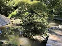 Batumi Botanical Garden