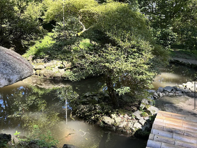 Batumi Botanical Garden