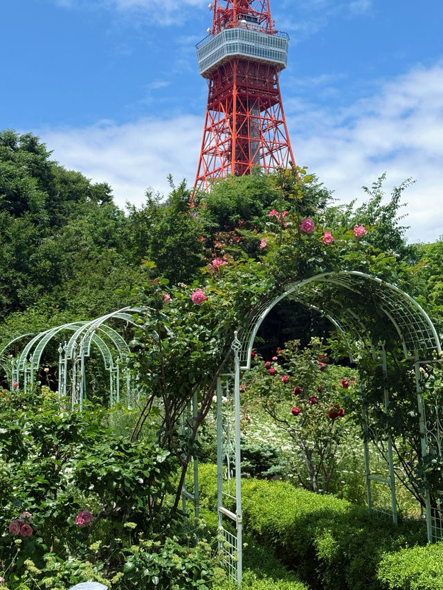 芝公園玫瑰園：都市綠洲中的芬芳秘境，邂逅四季浪漫