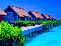Waldorf Astoria Maldives Ithaafushi — A Private Island Beyond Imagination
