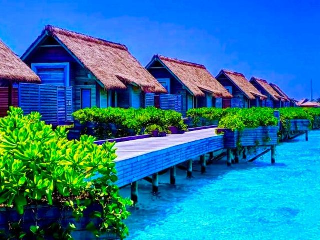 Waldorf Astoria Maldives Ithaafushi — A Private Island Beyond Imagination