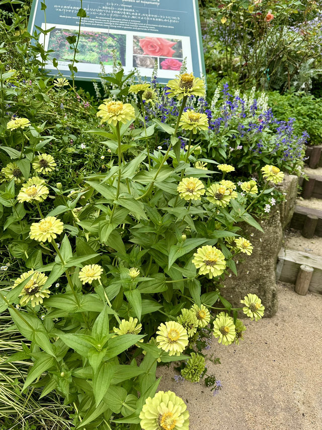 Kobe herb garden