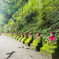 The Stone Guardians of Nikko: My Solo Walk Through Kanmangafuchi Abyss