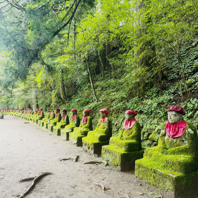 The Stone Guardians of Nikko: My Solo Walk Through Kanmangafuchi Abyss