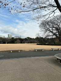 A Calm Hideaway in the City – Shinjuku Gyoen 🌿