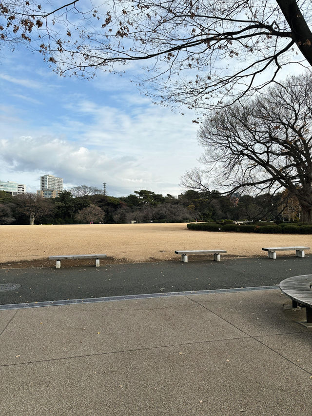 A Calm Hideaway in the City – Shinjuku Gyoen 🌿