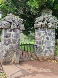 Cornwall Park, Auckland: Where History Meets Nature
