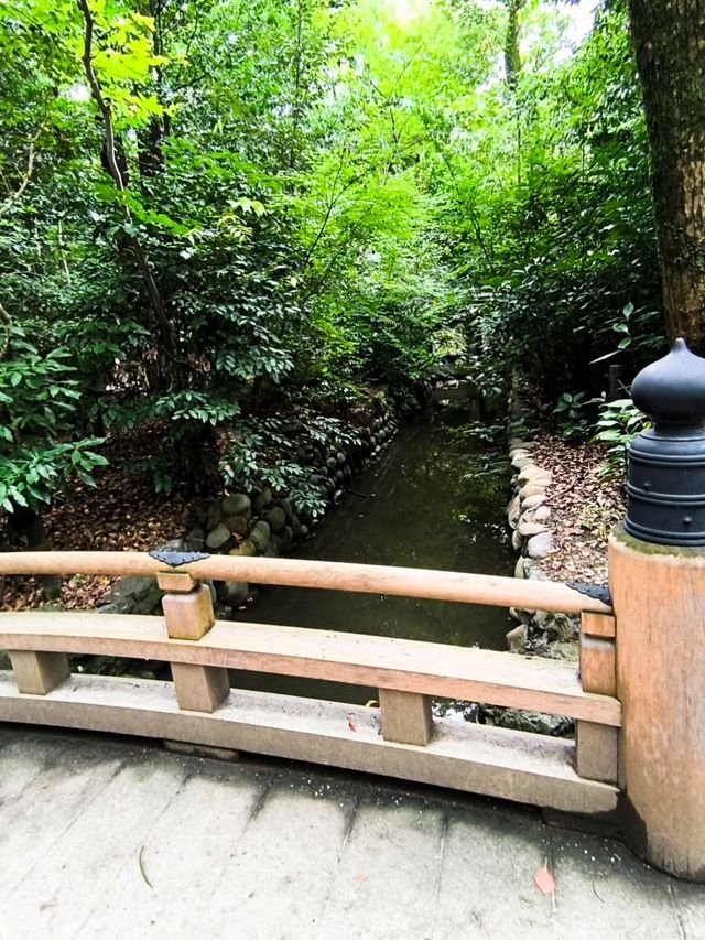 Peaceful Shrine Walk🌞