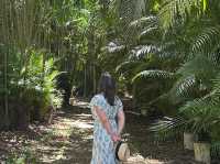 Maison Eureka in Mauritius - Wonderful return to the past