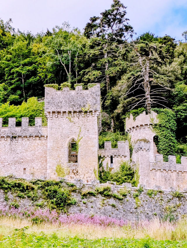 Ruins & Reflection: Returning to the Quiet Majesty of Gwrych Castle