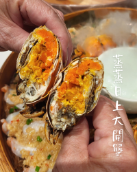 🎂壽星殺到深圳!鴨小七生日盛宴全攻略