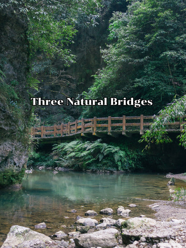Three Natural Bridges 